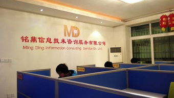 资阳铭鼎信息技术咨询服务 赋能企业数字化转型的专业伙伴