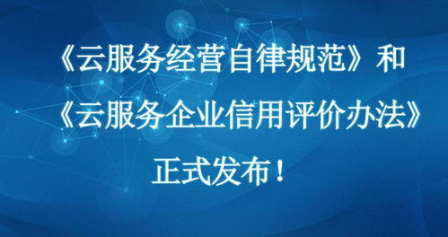 云服务商技术合作检查与信用评级 信息技术咨询服务新篇章